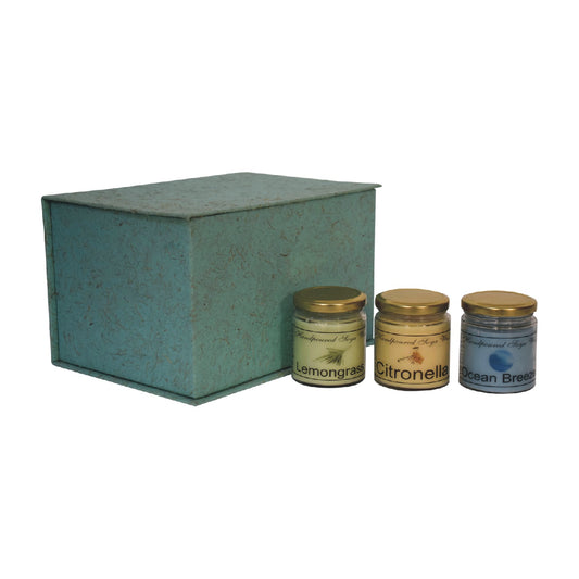candle gift set of 3 lemongrass citronella ocean breeze