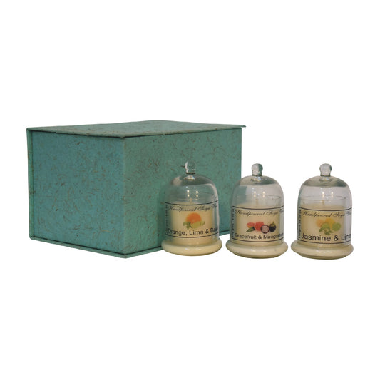bell jar candle set of 3 orange lime basil grapefruit mangosteen jasmine lime