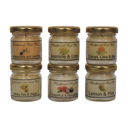 mini candle set of 6 honeysuckle jasmine jasmine lime orange lime basil white tea sage grapefuit mangosteen and lemon pine
